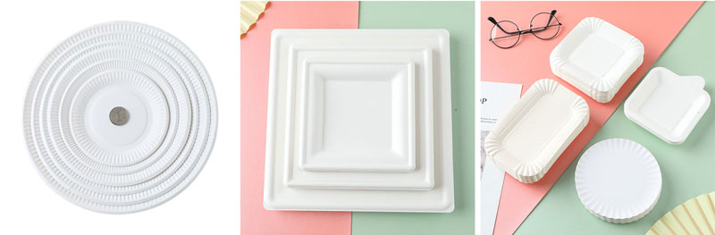 紙碟樣品圖
